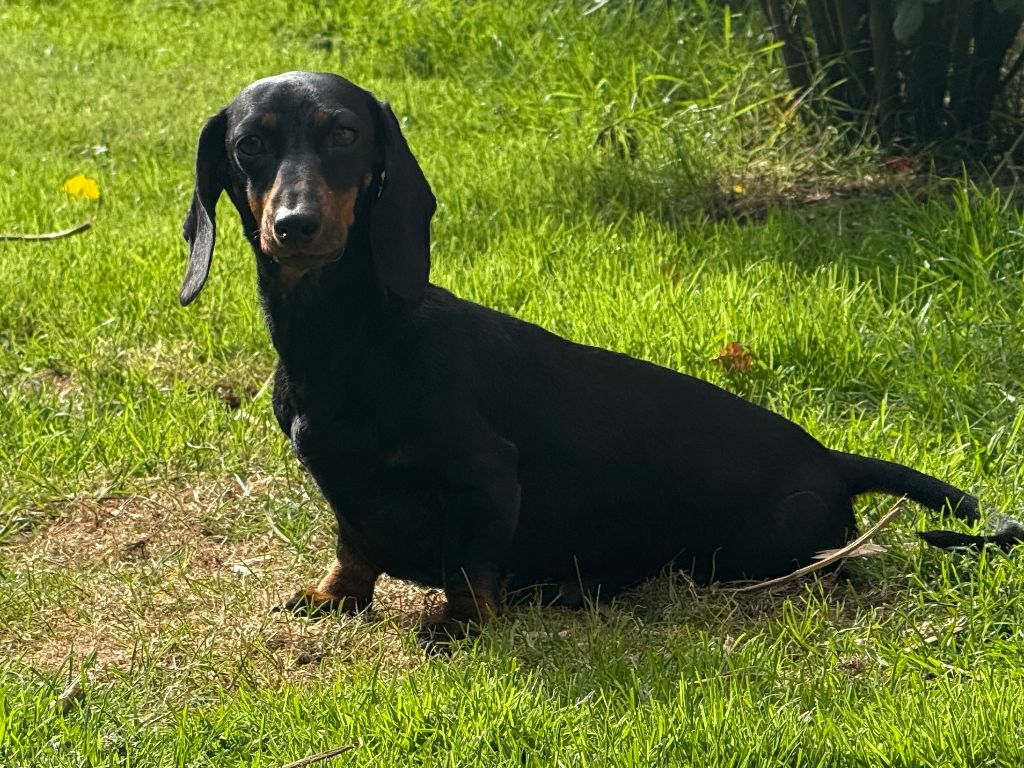Surprise ice cream dites sun shine des Rivages du Lemboulas